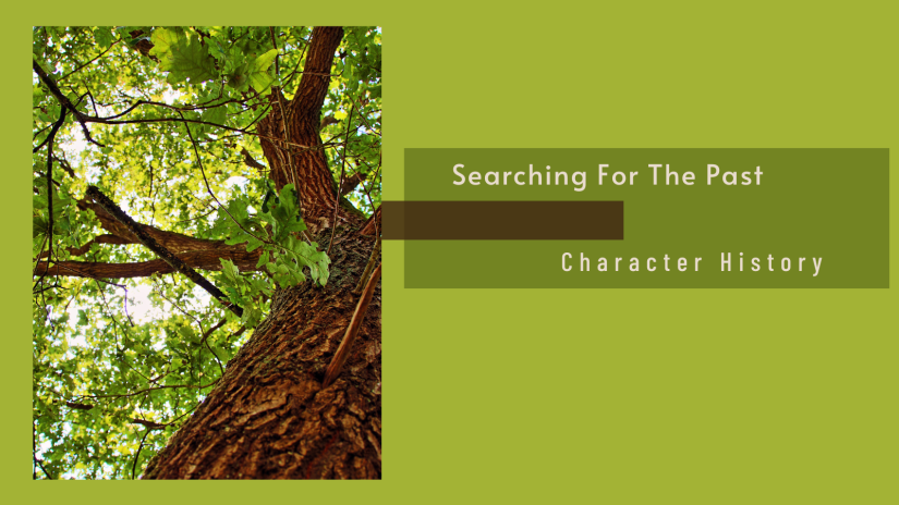 Searching for the&nbsp;Past